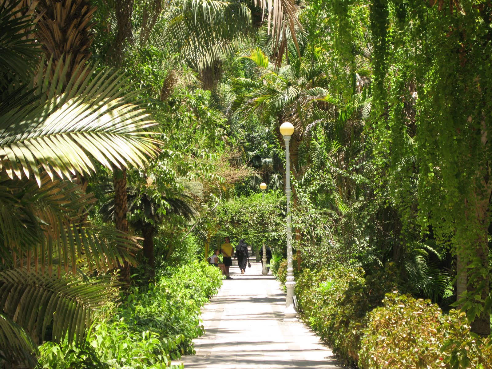 Асуан Ботанический сад на острове Китченера